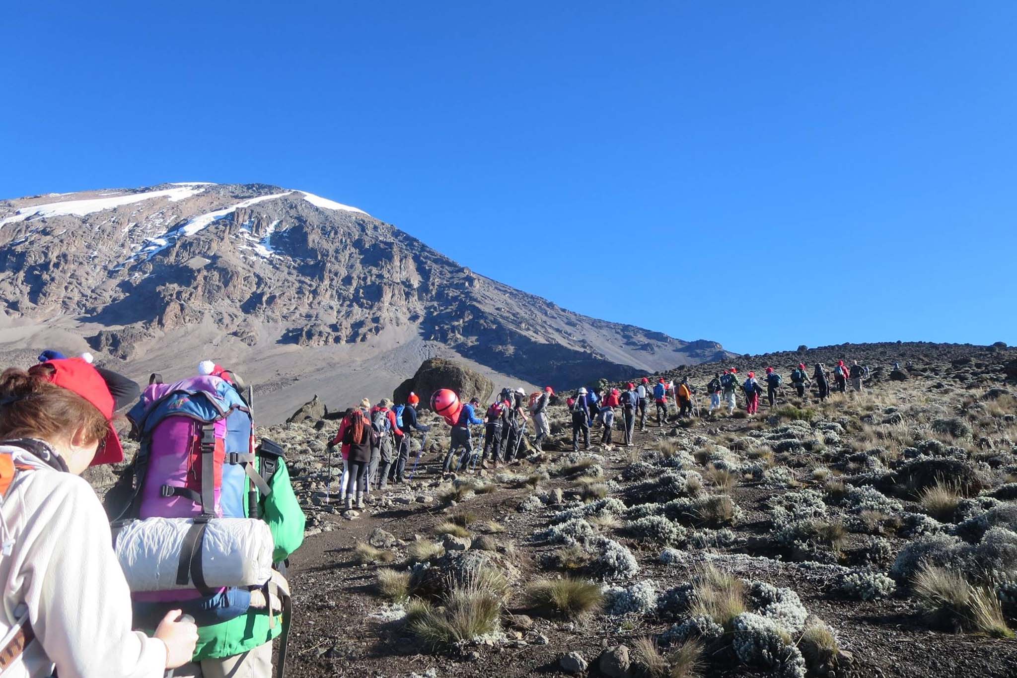 Kilimanjaro Trekking